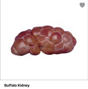 buffalo kidney meat