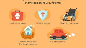 Life Insurance,Mediclaim Insurance,Car/Bike Insurance,Term Insurance