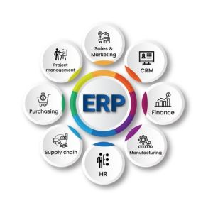 ERP Application Development Service