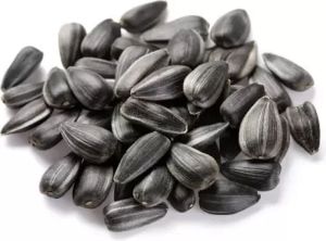 Organic Sunflower Seeds