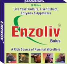 Enzoliv bolus formulation