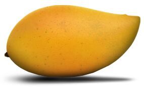 natural totapuri mango
