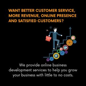 online business development
