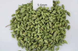 5mm to 6mm Green Cardamom