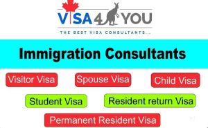 Visa and Immigration Consultants
