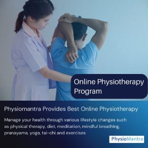 physiotherapy consultant service