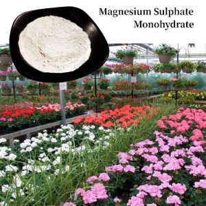 Sulphate Magnesium Monohydrate
