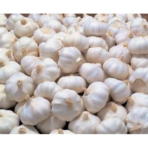 Natural Fresh Garlic