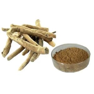 Ashwagandha Extracts