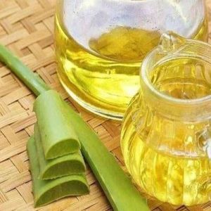 Cold Pressed Aloe Vera Oil