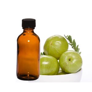 Cold Pressed Amla Seed Oil