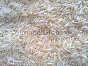 1718 Raw Basmati Rice