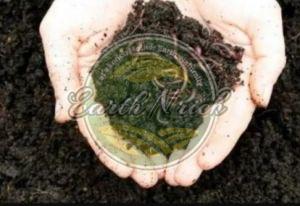 Organic Vermicompost Fertilizer