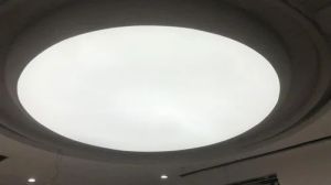 Translucent Pvc Stretch Ceiling