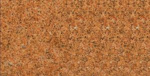 Onida Orange Granite Slab