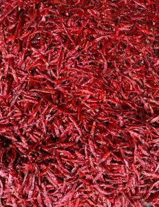 Sannam S4 Dry Red Chilli