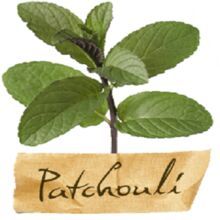 Organic Patchouli Oil