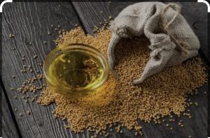 Seed mustard oil