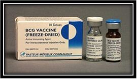 B.C.G Vaccine