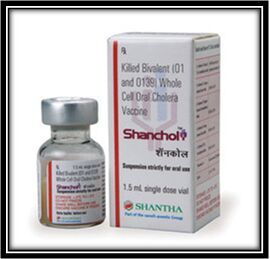 Oral Cholera Vaccine