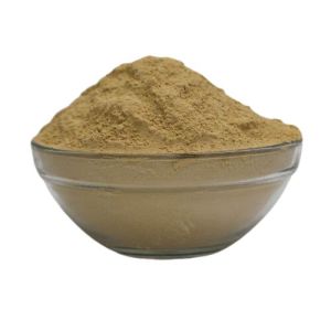 Dill Seed Suva Powder