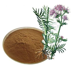 Valerian root extract