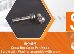 Cross Recessed Pan Head Screws
