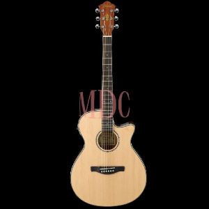 Ibanez AEG8E NT Semi Acoustic Guitar