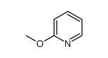 2 Methoxy 5 Bromo Pyridine
