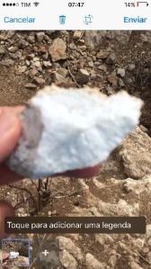 Natural Dolomite, Packaging Type : White