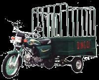 Loading Rickshaw