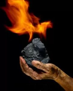 Coal