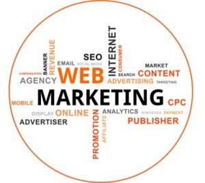 Digital Marketing Professional Program