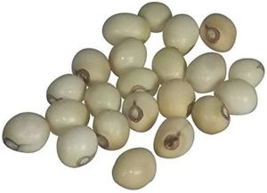White Gunja Seed