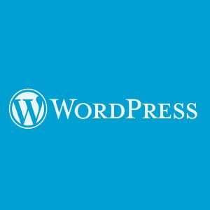 wordpress conversion services