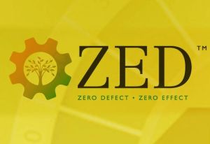 ZED Assessments