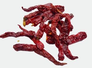 stemless red chilli-Syngenta 2043