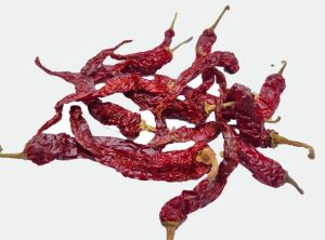 Red Dry chilli-Syngenta 2043.