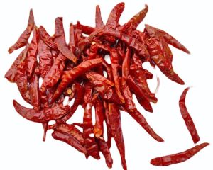 stemless red chilli-Teja