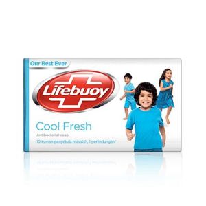 Cool Fresh Soap Bar