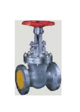 Cast Valve