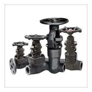 Forged Steel Valve