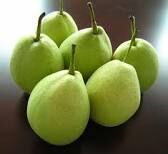Shandong Pears