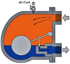 Steam Trap Assemblies