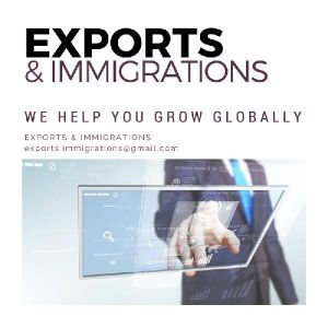 Business Immigration Service