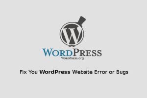 WordPress dovelopment services