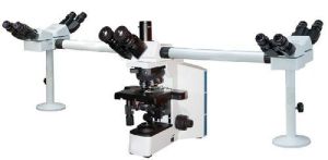 penta head microscope