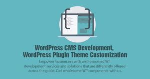 WordPress Web development services