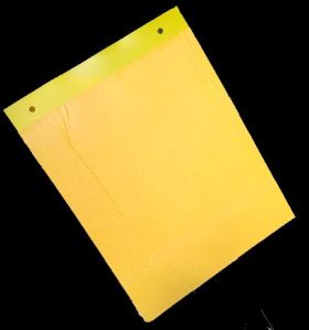 PVC Yellow sticky insect trap