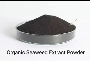 Organic Seaweed Extract Powder
